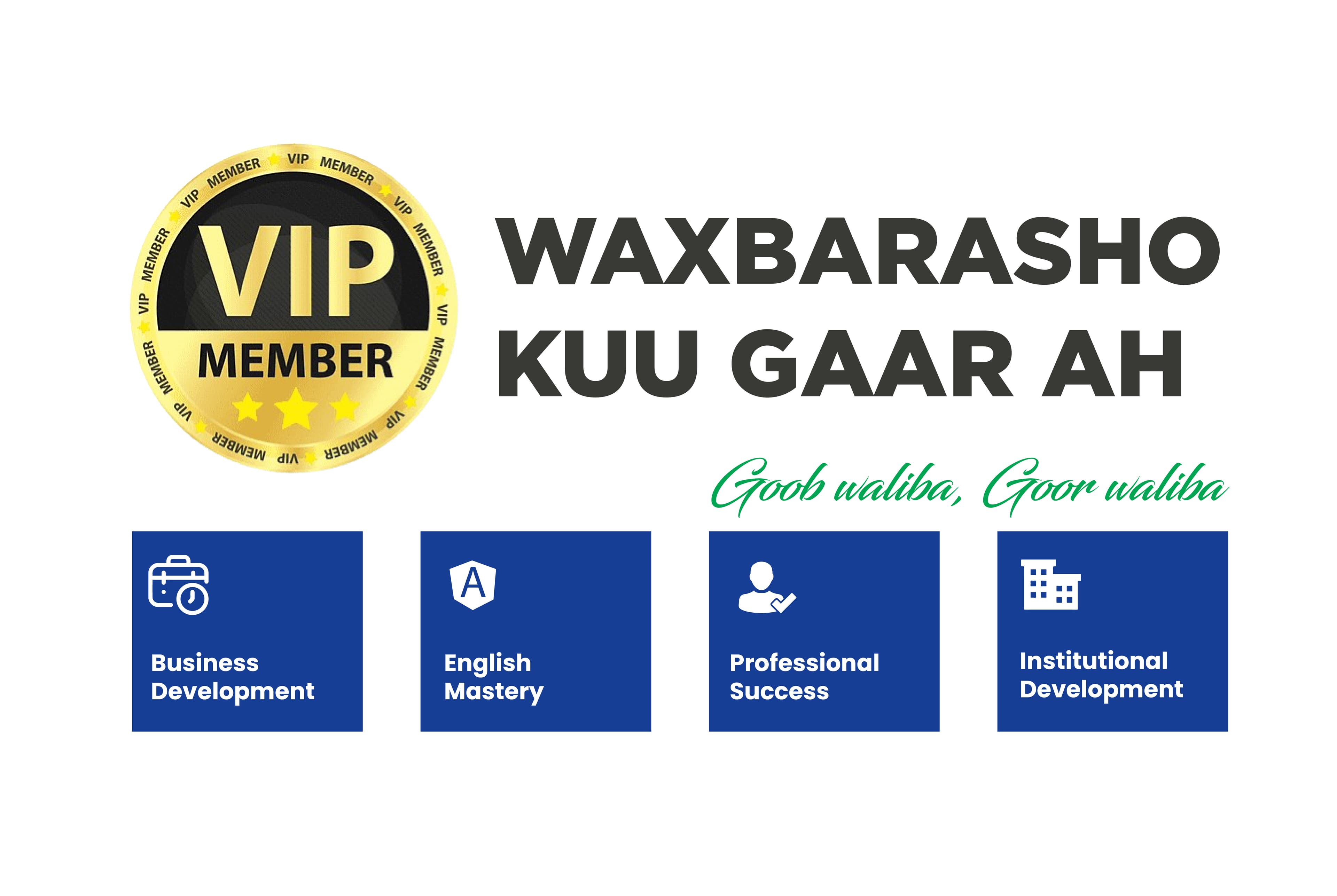 VIP Course - Advanced Learning Program